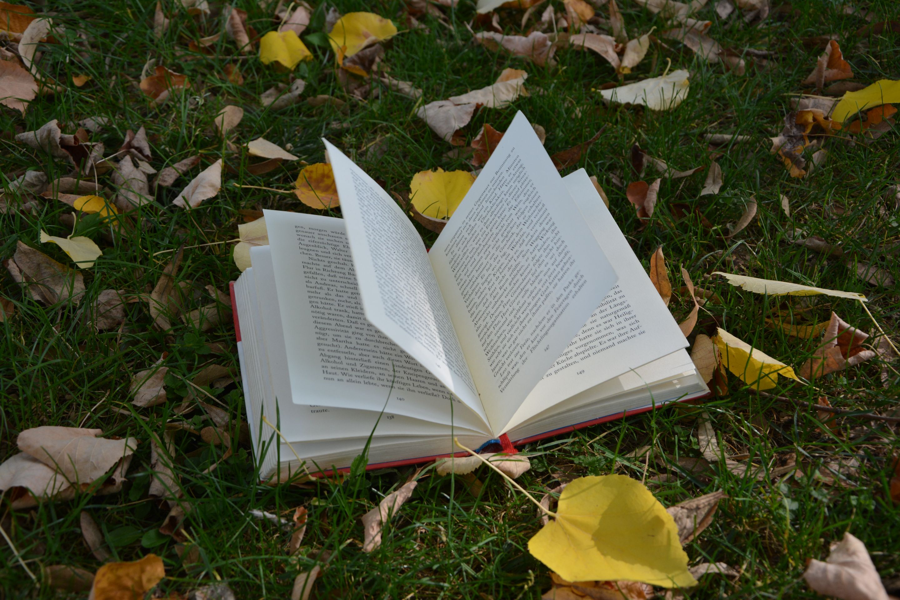 Les_feuilles_allemandes